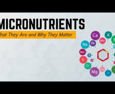 MicroNutrients & Their Importance To The Immune System