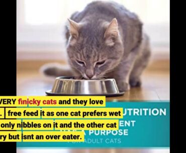 Purina ONE True Instinct Grain Free Natural Dry Cat Food with Real Chicken, 6.53 kg
