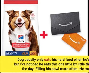 Hill's Science Diet Adult 7+ Small Bites Chicken Meal, Barley & Brown Rice Recipe Dry Dog Food