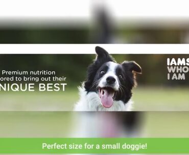 IAMs Proactive Health Dry Food for Dogs - Mature (5+) - Large Breed - 13.6kg