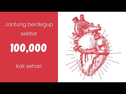 Penerangan tentang TF CV + Vitamin Mineral Complex