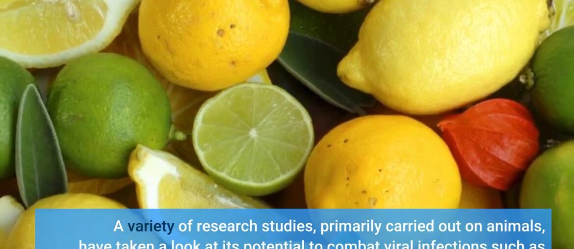 What Does Changes in the immune system can promote healthy aging Mean?