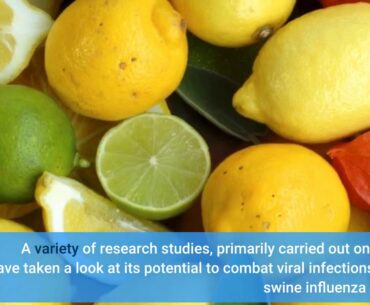 What Does Changes in the immune system can promote healthy aging Mean?