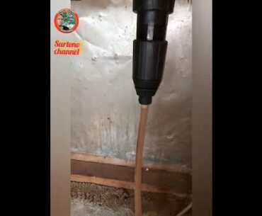 CARA memberiObat VP supplement vitamin+18