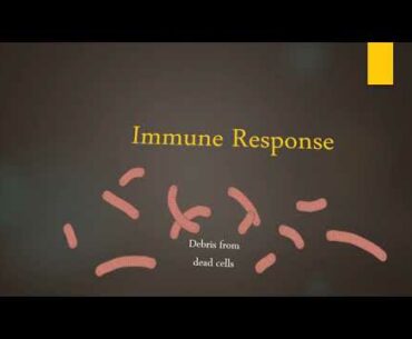 Corona virus Detailed Video | COVID-19 | Assignment | Immunology |