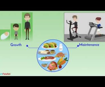 Ch- 2  Part-1Revision Nutrients( carbohydrates,proteins, fats, vitamins and minerals