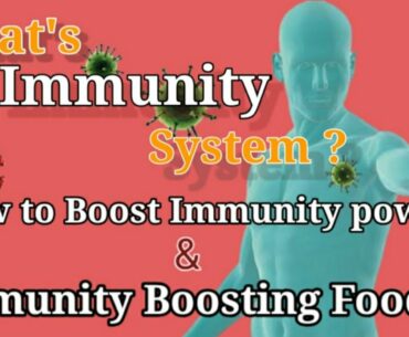 Immunity system | How to boost immunity power  | Immunity boosting foods |10 Foods to boost immunity