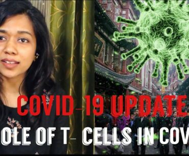 COVID update | Role of T-cells
