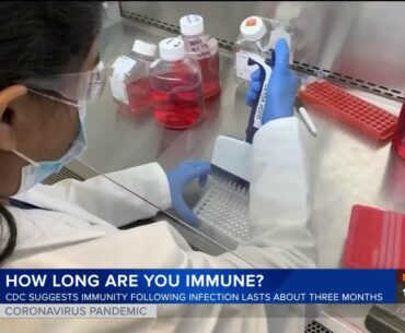 The CDC offers new guidelines about COVID-19 immunity