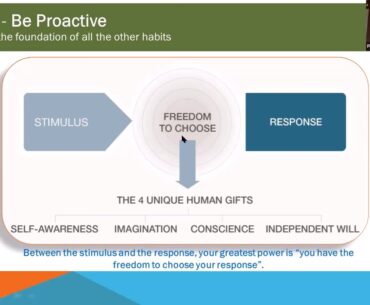 VItaMIN Video Series 24