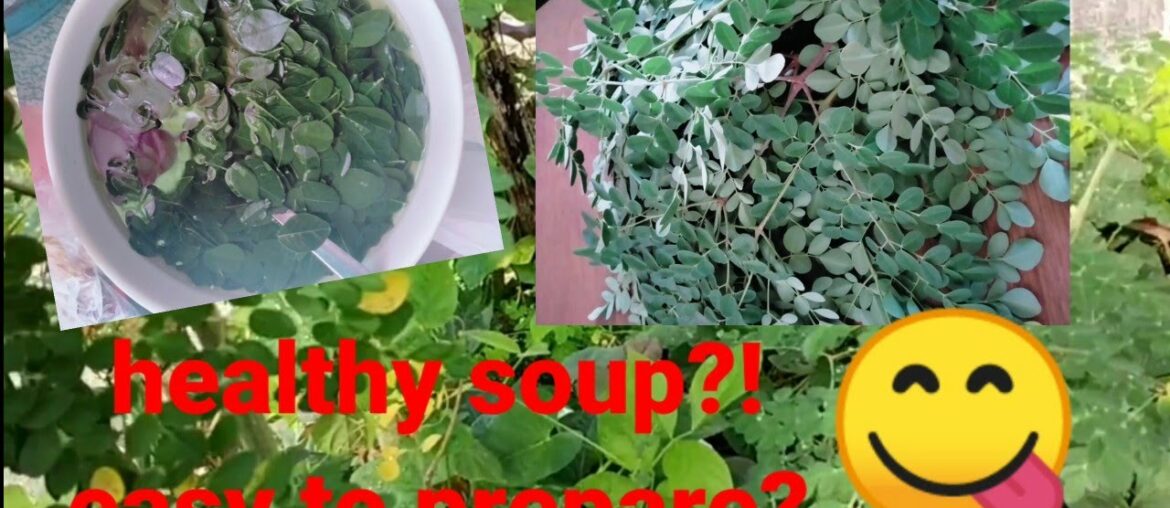Healthy Soup to boost your immune system/ Against covid19