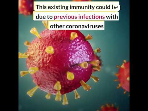 Common colds train the immune system to recognize COVID 19 | Corona Virus Updates | Corona News