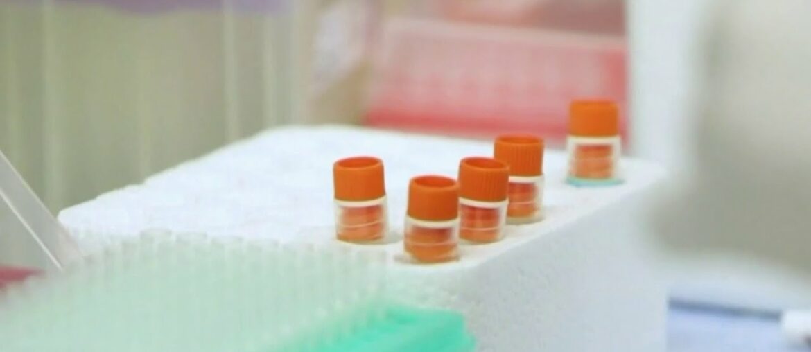 Coronavirus vaccines moving forward in testing process