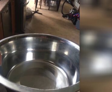 Neater Feeder Deluxe Medium Dog (Gunmetal Grey) - The Mess Proof Elevated Bowls No Slip Non Tip...