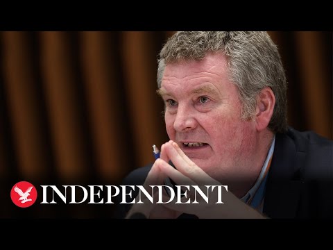 World nowhere near immunity levels to stop coronavirus transmission, warns WHO