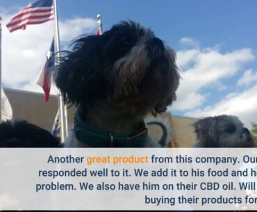 VETFLIX Pet Vitamins 10 in 1 - Made in USA - Glucosamine For Dogs & Cats - Dog Supplement for P...