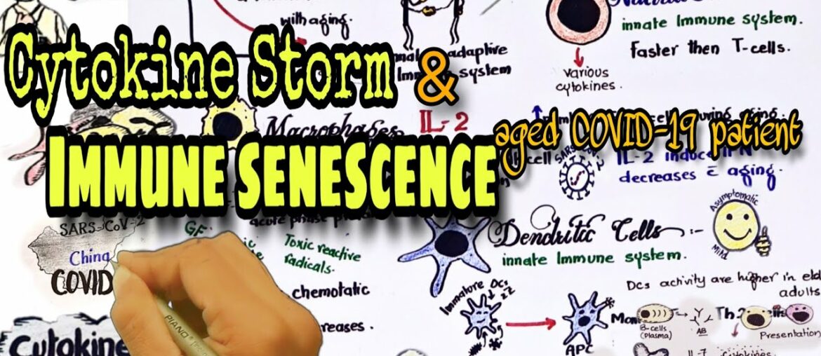 cytokine storm & immune senescence & aged COVID-19 pts -part 2 | cytokine release syndrome