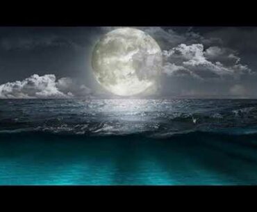 Guided Meditation for Empowering your Immune System to Fight Against the Coronavirus (COVID-19)