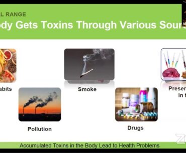 Wellness Wednesday: Well Range of Supplements