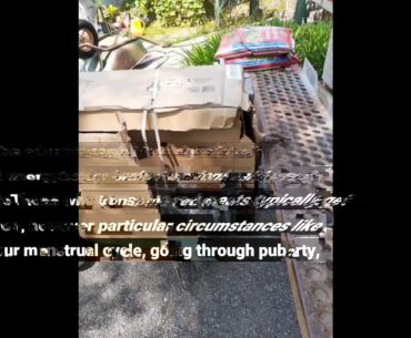 Indicators on Vitamins and Supplements - Walmart Canada You Need To Know