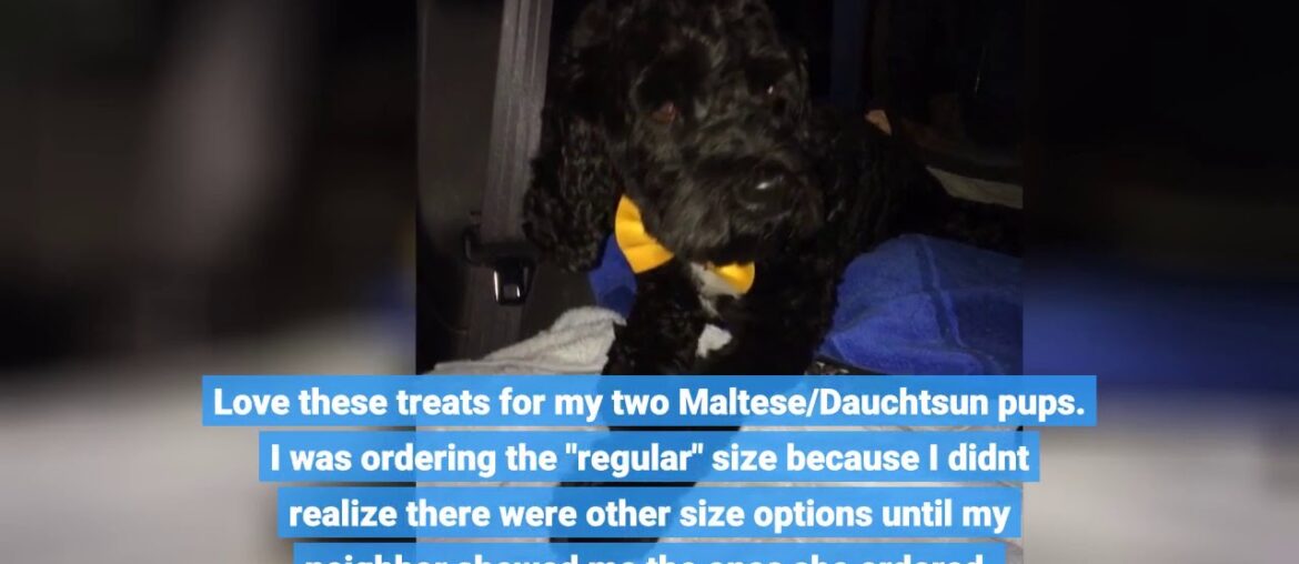 Greenies Original Regular Natural Dental Dog Treats (25 - 50lb. dogs)