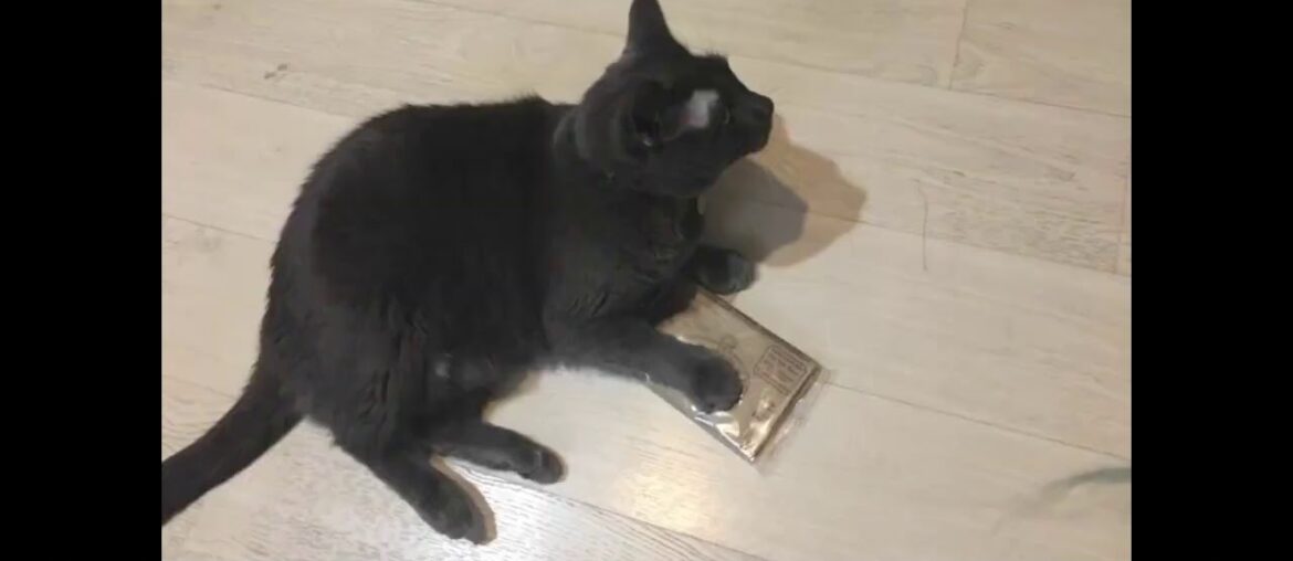 Orville Redenbacher Popcorn - Microwave Buttery (24 pack with 24 bags total)