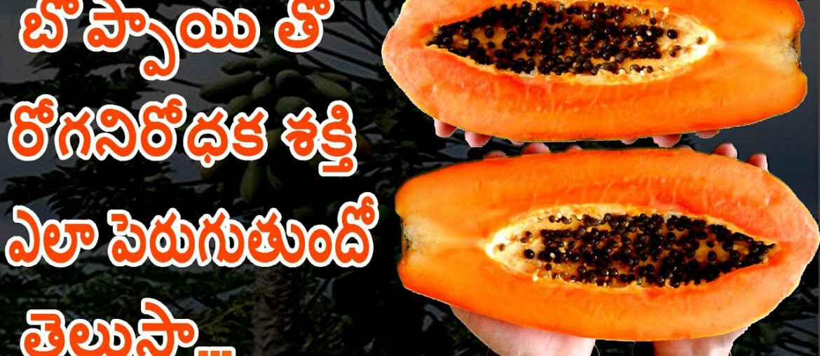 Papaya Best Fruit For Immunity Booster l Health Tips l V Telugu