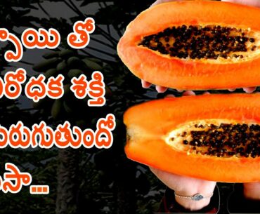 Papaya Best Fruit For Immunity Booster l Health Tips l V Telugu