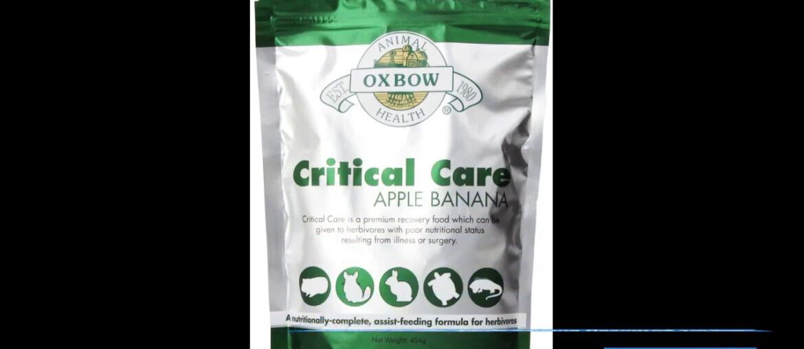 Oxbow Critical Care Apple/Banana Pet Supplement, 141gm