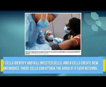 People who get coronavirus develop long-term immunity via T cells: study