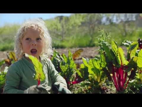 Garden of Life - Say Yes to Clean Vitamins and Supplements