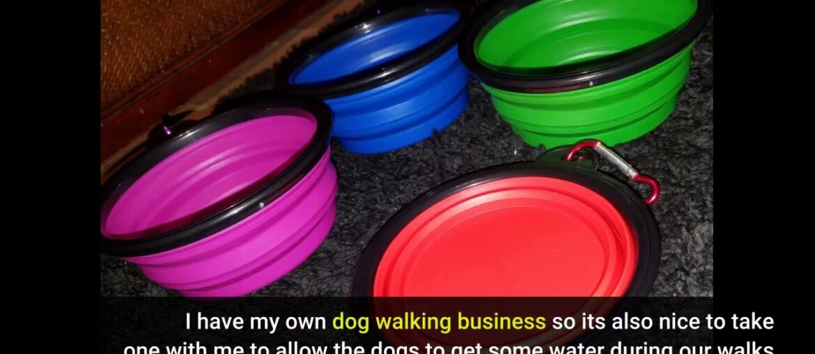 Collapsible Dog Bowl,Silicone Portable Foldable Water Bowls with Carabiner Clip for Travel (4 P...