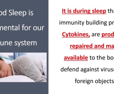 VItaMIN Video Series 27