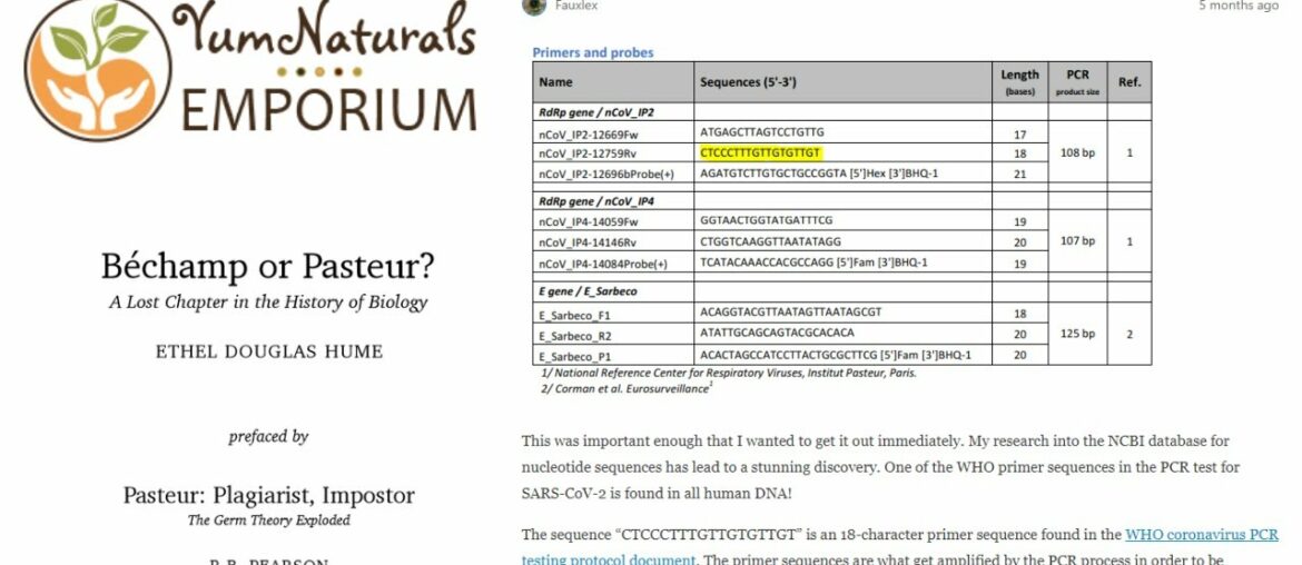 Bombshell Evidence that COVID is Chromosome 8 Human DNA - Faulty PCR Test