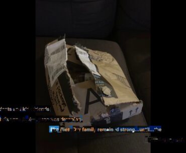 Best Reviewed Nature's Way Sambucus Elderberry Gummies, Herbal Supplements with Vitamin C and Z...