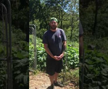 BOOST IMMUNITY COVID -DEFENSE