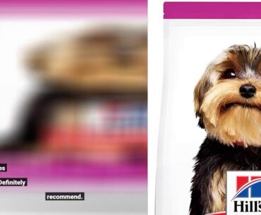 Hill's Science Diet Adult Large Breed Lamb Meal & Brown Rice Recipe Dry Dog Food