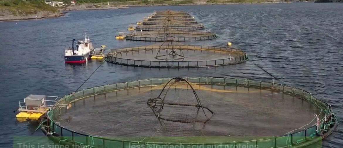 Not known Facts About Vitamart.ca - Canada's Online Supplements & Vitamins Store