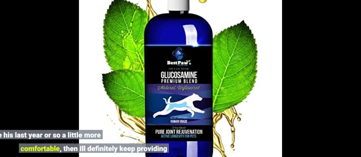 Best Paw Nutrition - Bacon Flavour Liquid Glucosamine for Dogs & Cats - Chondroitin, MSM, Hyalu...