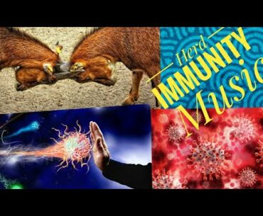 Immune covid-19. Stay home Stay safe."Happy music".