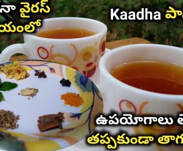 Kadha Paniyam Latest | Corona Kashayam | Health Benefits Explained in Telugu with English Subtitles