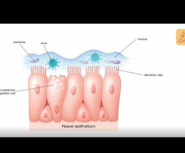 Ayusmat/Boosting your Immune System against Coronavirus: Minimize the risk of infection. Part 1