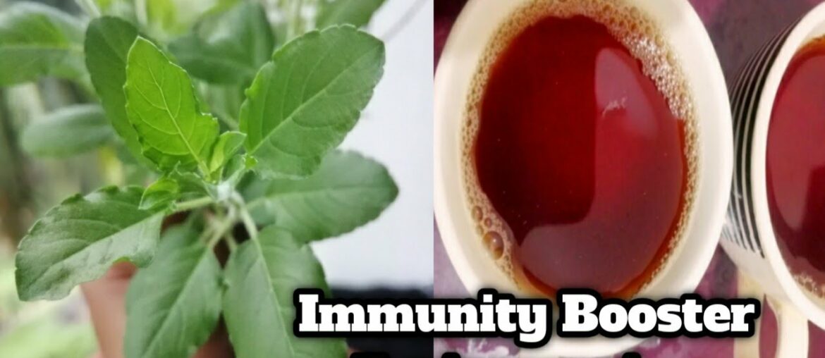 Immunity Booster For Corona Virus | Tulsi Ki Chai | Tulsi Tea Recipe | Natural Immunity Booster