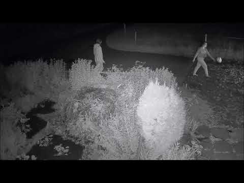 2020 08 18   Coronavirus Outbreak 6