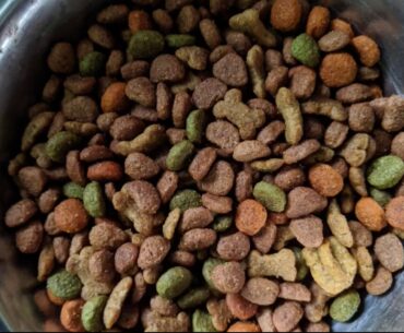 PEDIGREE Puppy Growth & Protection Dry Dog Food Chicken & Vegetable Flavor, 3.5 lb. Bag