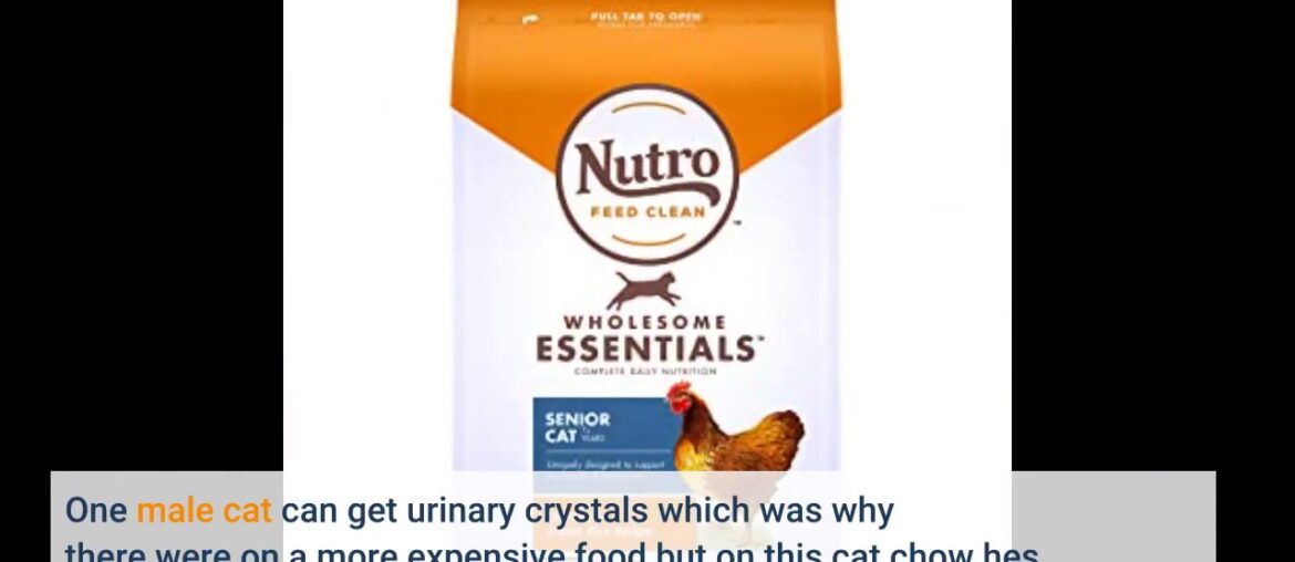 Nutro Wholesome Essentials Indoor and Sensitive Digestion Dry Cat Food, Chicken