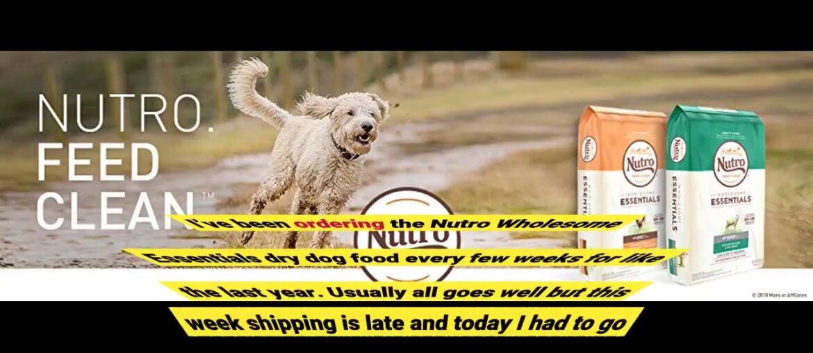 NUTRO WHOLESOME ESSENTIALS Large Breed Dry Dog Food Puppy Lamb & Rice Recipe 13.61kg (30LB)