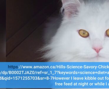 Hill's Science Diet Adult Urinary & Hairball Control Chicken Recipe Dry Cat Food, 15.5 lb Bag