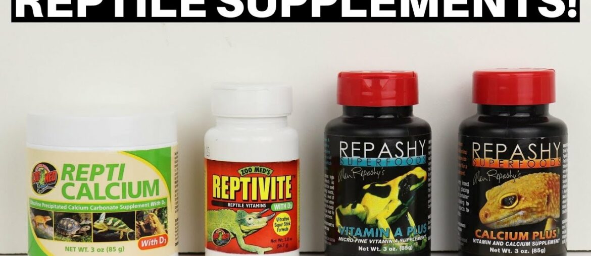 Calcium And Vitamin Supplements For Reptiles And Amphibians - Benjamin's Exotics