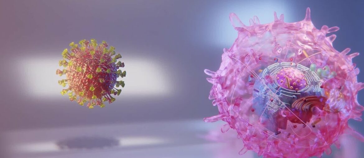 Scientists discover coronavirus's mechanism for inhibiting the immune system